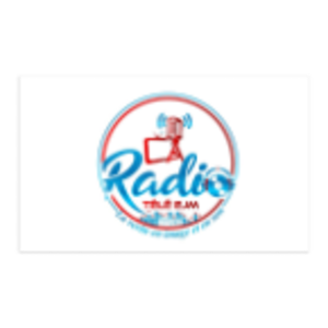 RADIO TELE EJM-logo