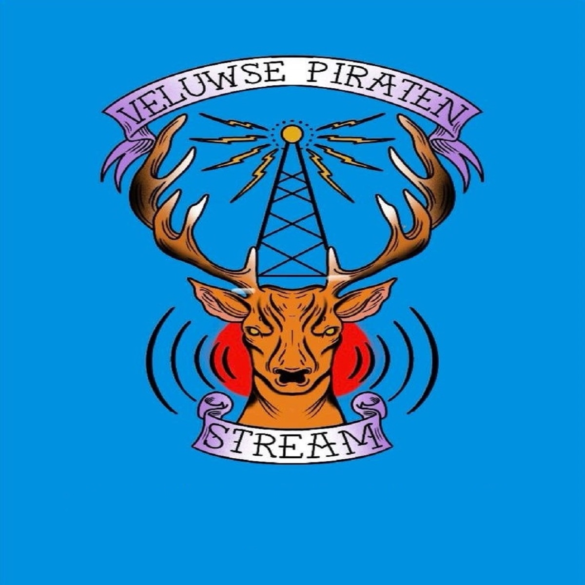 Veluwse Piraten Stream