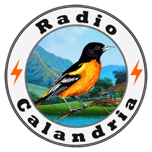 Radio Calandria-logo