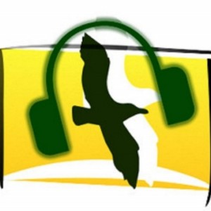 Radio-Albatros-logo