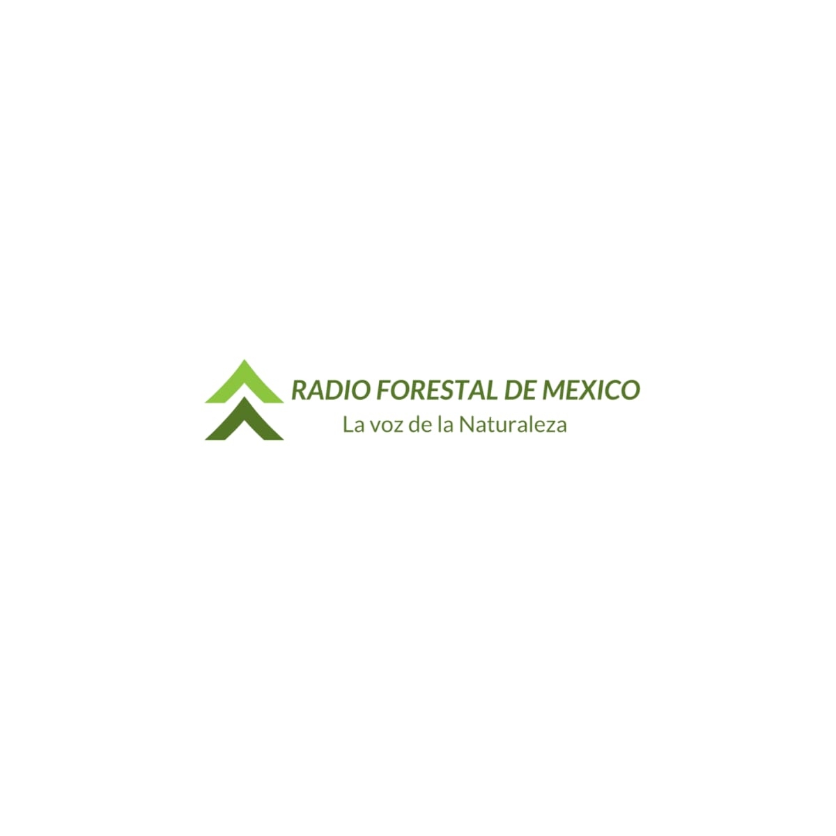 RADIO FORESTAL DE MÉXICO