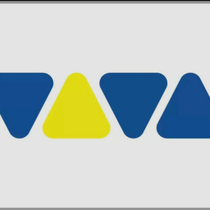 VIVA TOP 100-logo