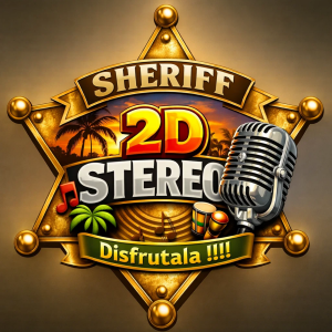 2D Stereo-logo