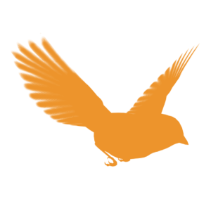 BlackBird HD-logo