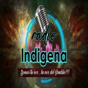 La voz del Pueblo indigena-logo