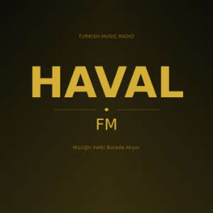 Haval FM-logo