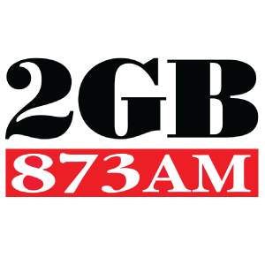 2GB 873-logo