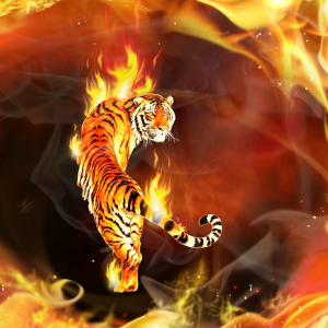 Fire FM-logo