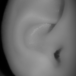 Audimaxx