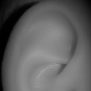 Audimaxx-logo