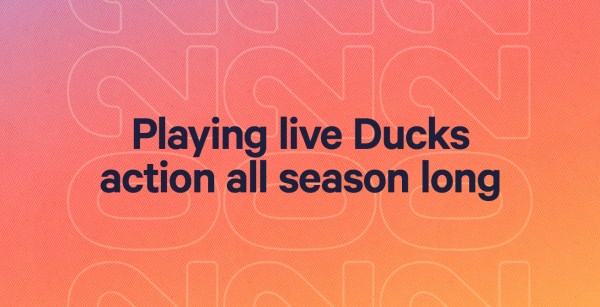 Ducks Stream